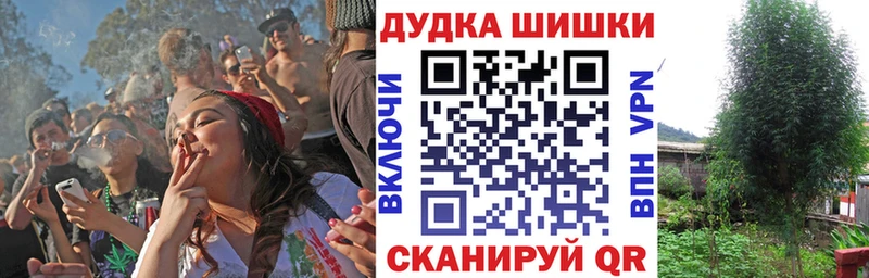 Купить СК  МЕФ  ГАШИШ  МАРИХУАНА  Псилоцибиновые грибы  COCAIN  Карачаевск