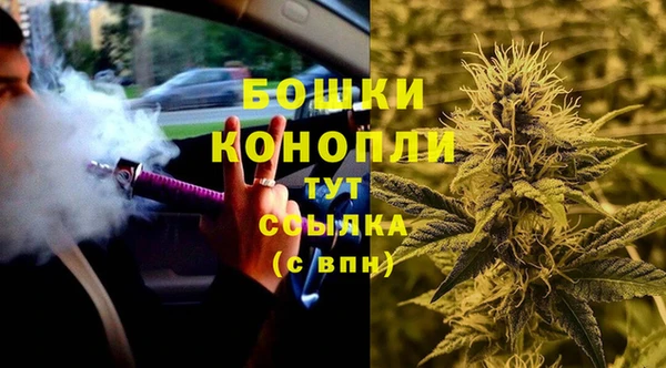 дживик Зерноград