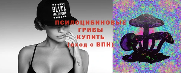 дживик Зерноград